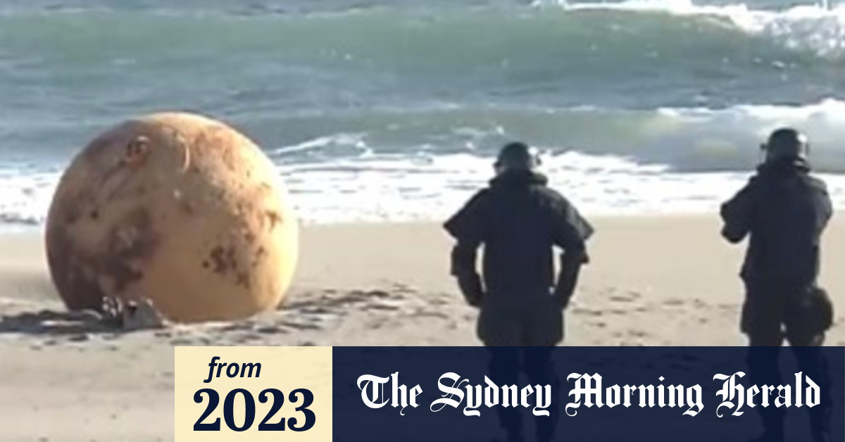 Godzilla Egg Giant orb washes ashore in Japan